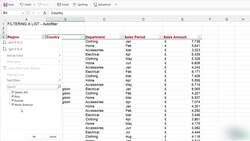 Microsoft Excel 2021365 - Beginner to Advanced - Using Autofilter to Filter a List Instructional Video