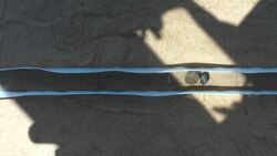 TED: The dance of the dung beetle | Marcus Byrne Instructional Video