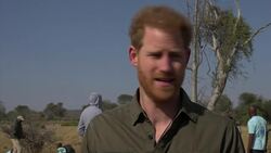 Harry: how can anyone deny climate change? Instructional Video