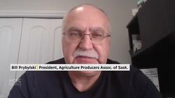 Saskatchewan farmers bracing for more tariffs, this time from China News Clip