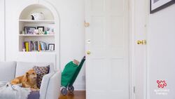 How To Disinfect When You Get Home with Groceries Instructional Video