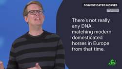 News | Where Did Domesticated Horses Come From? Instructional Video