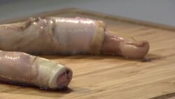 CLEAN : Exhibition showcases the world's most disgusting dishes News Clip