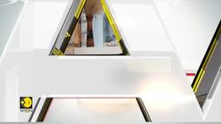 Families sue TikTok in France over teen suicides Instructional Video