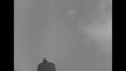 Canadian smokestack rescue News Clip