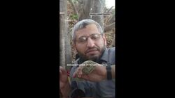 Al Jazeera reporter on timing of Deif ‘killing’ announcement Instructional Video