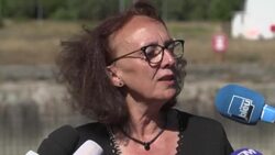 CLEAN : French experts ponder plan to transport whale back to sea News Clip