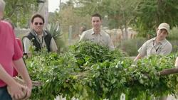 A Special Surprise For This Elephant on His Big Birthday! Instructional Video