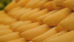 Yellow Mangoes stack on a night vendor maket Thailand. Pull Zoomed. Stock Footage