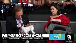 Sony Electronics President Says Aibo Robo-Pup Shares Tech With Self-Driving Cars News Clip