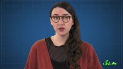 Why You Can't Really Sweat Out Toxins Instructional Video