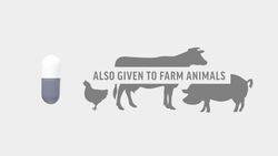 How superbugs work Instructional Video