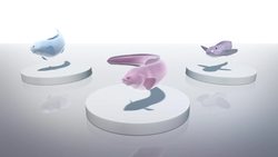 Translucent fish with no scales found in Pacific Ocean Instructional Video