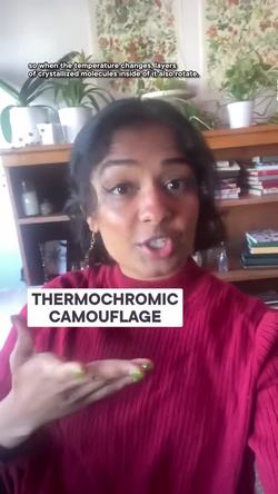 A chameleon robot that changes colors! #shorts #science Instructional Video