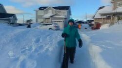 N.L. neighbours stay connected with snow maze News Clip