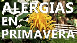 La primavera la sangre altera Instructional Video