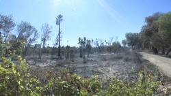 Flames diminish in wildfires east of Los Angeles Instructional Video