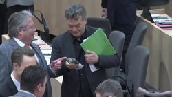 CLEAN : Sebastian Kurz and Werner Kogler address Austrian parliament News Clip