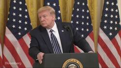 Trump Asks Whether China Let Virus Spread `On Purpose' News Clip