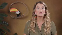 The Plate Tectonics Revolution: Crash Course Geography Instructional Video