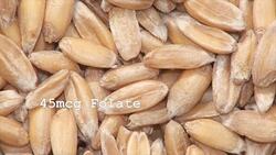 The Nutritional Benefits of Spelt Instructional Video