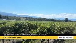 B.C.'s farmers lost $457M in 2024, the most in Canada News Clip