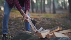 George Washington and the Cherry Tree: Myth or Fact? Instructional Video