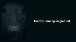 TED: What are the most important moral problems of our time? | Will MacAskill Instructional Video