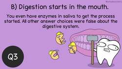 Human Body Systems: Before the Bell Biology Instructional Video
