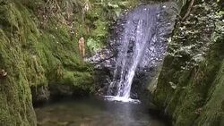 Edelfrauengrab Wasserfälle im Schwarzwald Stock Footage