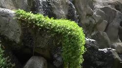 Waterfall in slow motion 180fps Stock Footage