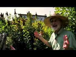 Funky Portlandia Ecovillage is Giant Rainwater Sponge! Instructional Video