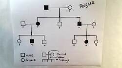 Pedigrees Instructional Video