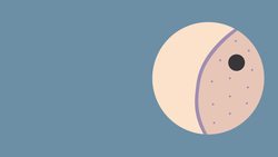 BIOLOGY - Cells - Active Transport Instructional Video