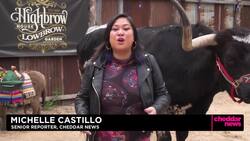 Startup Says 'Smart' Chicken Coops Could Promote Backyard Farming News Clip