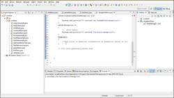 Selenium WebDriver with Java - Basics to Advanced and Frameworks - Importance of Finally Block in Java Instructional Video