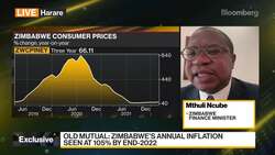 Zimbabwe's Economic Outlook News Clip
