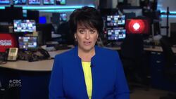 Ceasefire between Israel, Hamas now in effect News Clip