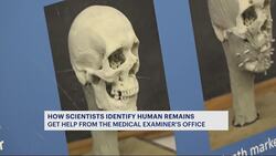 Bronx families to meet one-on-one with scientists who piece together missing persons cases News Clip
