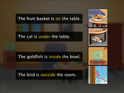 Spatial Properties Instructional Video