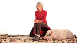 How to Prepare Your Home for a Potbellied Pig Instructional Video