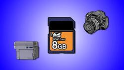 How to Pick an SD Memory Card Instructional Video