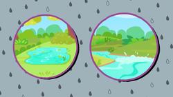 Water Instructional Video