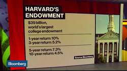 Harvard's Disastrous $270 Million Bet on Brazilian Farmland News Clip