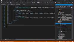 The Complete Guide to ASP.NET Core MVC (.NET 5) - Client-Side Validations Instructional Video