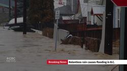 Princeton, B.C., tries to prevent more flooding News Clip