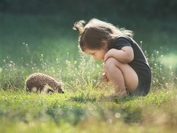 Initiative: The Key to Making Things Happen Instructional Video