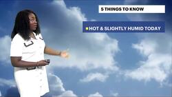 STORM WATCH: Hot and humid with strong afternoon storms in Brooklyn News Clip