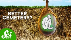 How to Dispose of a Body Instructional Video