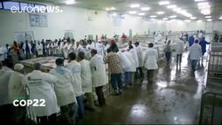 Road to Cop 22: protecting Morocco’s coastline News Clip